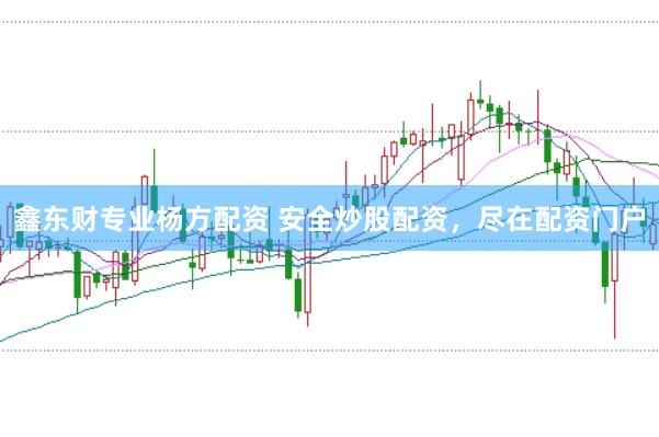 鑫东财专业杨方配资 安全炒股配资，尽在配资门户