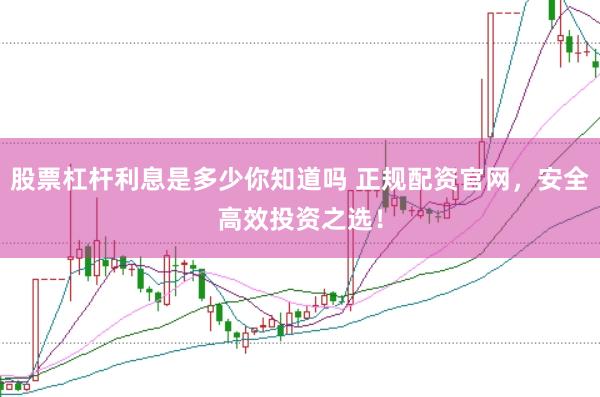 股票杠杆利息是多少你知道吗 正规配资官网，安全高效投资之选！