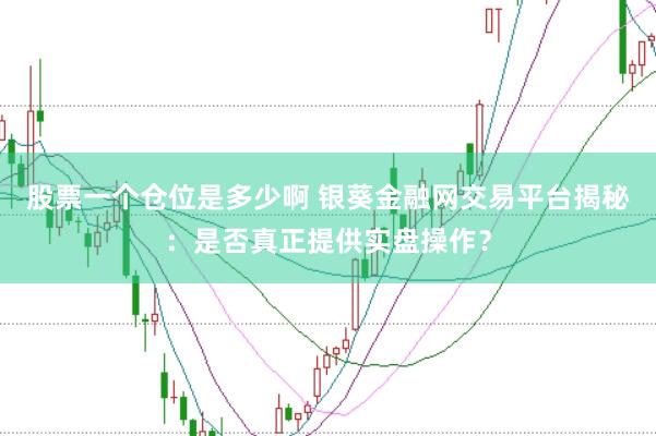 股票一个仓位是多少啊 银葵金融网交易平台揭秘：是否真正提供实盘操作？