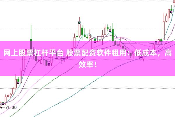 网上股票杠杆平台 股票配资软件租用：低成本，高效率！