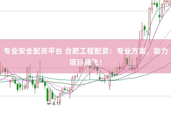 专业安全配资平台 合肥工程配资：专业方案，助力项目腾飞！