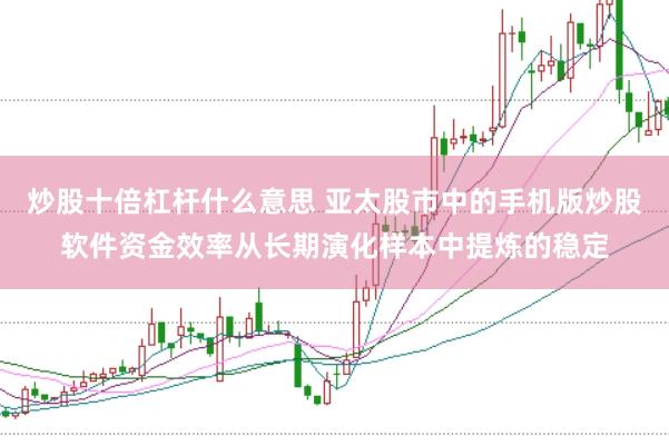 炒股十倍杠杆什么意思 亚太股市中的手机版炒股软件资金效率从长期演化样本中提炼的稳定
