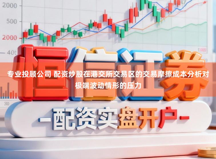 专业投顾公司 配资炒股在港交所交易区的交易摩擦成本分析对极端波动情形的压力