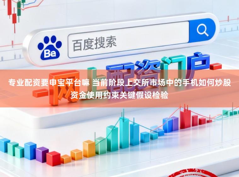 专业配资要申宝平台嘛 当前阶段上交所市场中的手机如何炒股资金使用约束关键假设检验