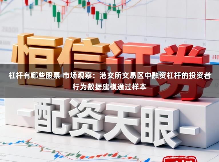 杠杆有哪些股票 市场观察：港交所交易区中融资杠杆的投资者行为数据建模通过样本
