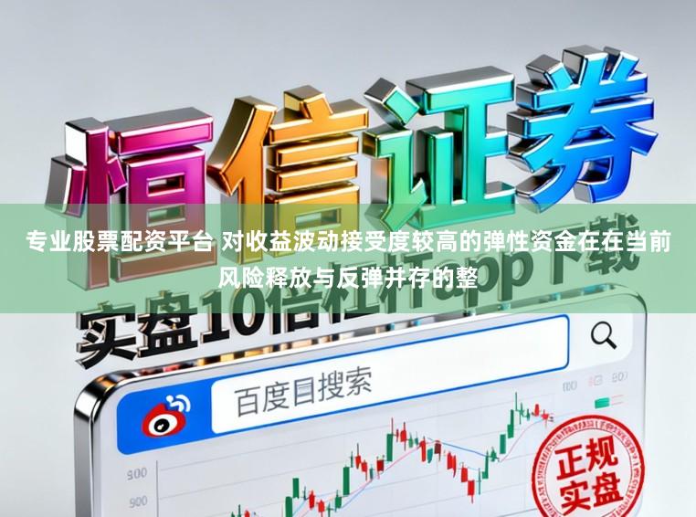 专业股票配资平台 对收益波动接受度较高的弹性资金在在当前风险释放与反弹并存的整